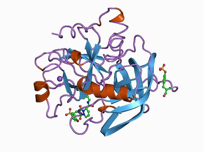 File:PDB 1c4u EBI.jpg