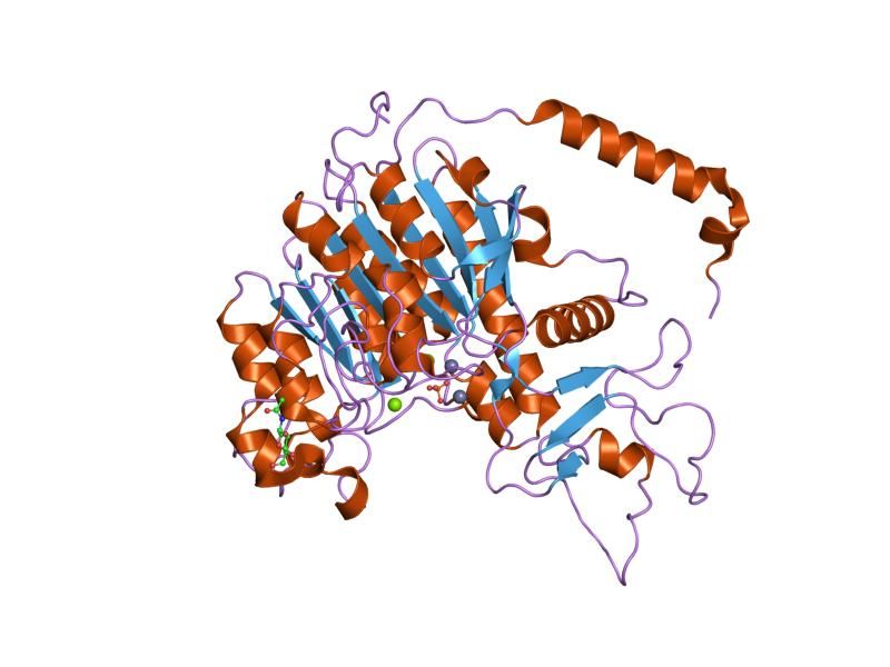 File:PDB 1ew2 EBI.jpg