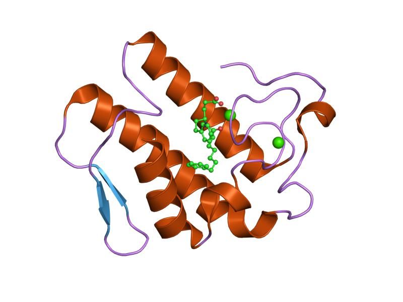 File:PDB 1kqu EBI.jpg