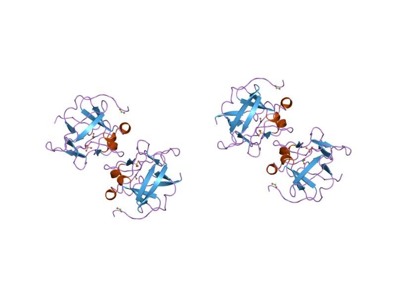 File:PDB 1nzk EBI.jpg