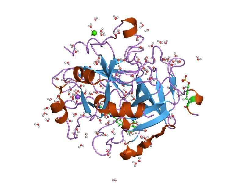 File:PDB 1o5g EBI.jpg