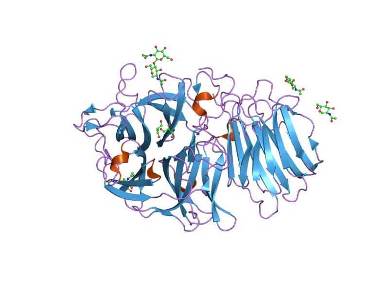 File:PDB 1y4w EBI.jpg