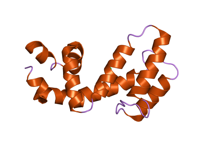 File:PDB 2ihd EBI.png