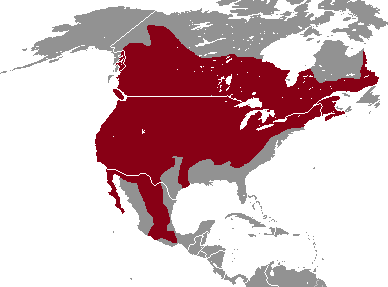 File:Peromyscus maniculatus range map.png