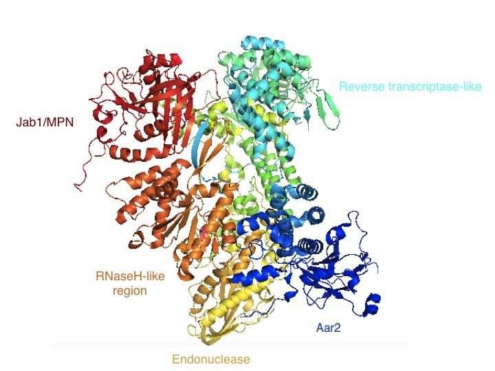 File:Slide1-structure.jpg