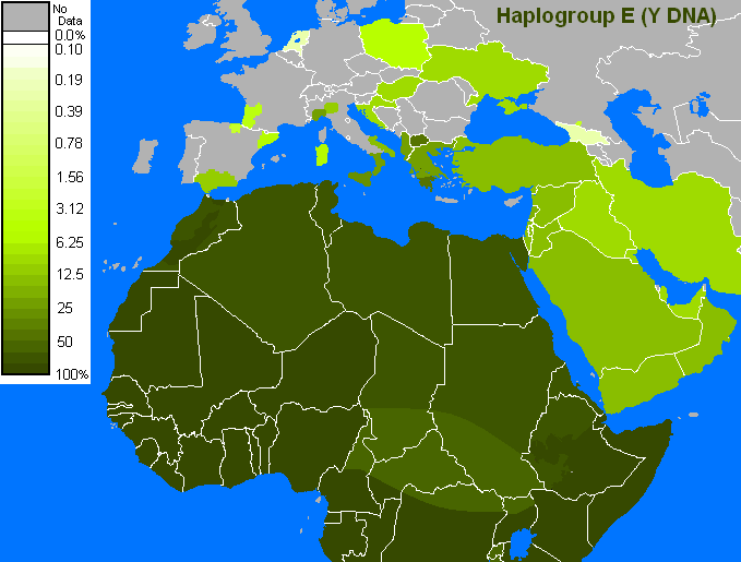 File:Y Haplogroup E.PNG