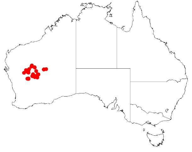 File:Acacia xanthocarpaDistMap968.png