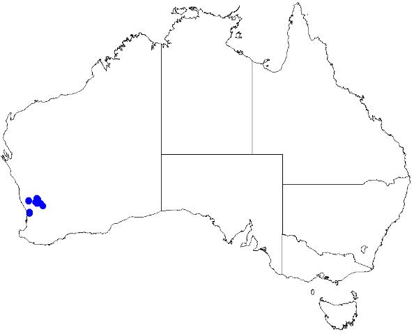 File:Boronia ericifolia DistMap38.png