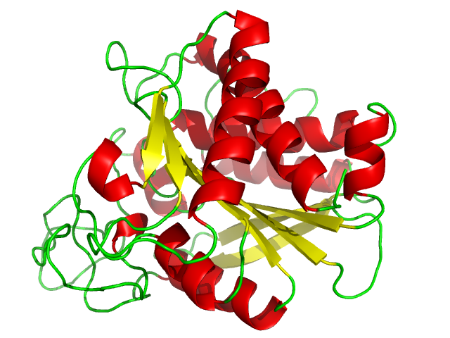 File:Carboxypeptidase A.png