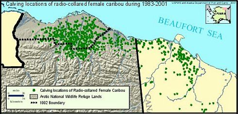 File:Caribou calving map.jpg