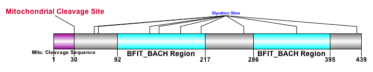 File:Depiction of ACOT9 Protein.png