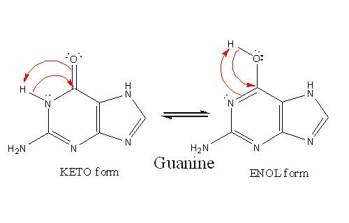 File:Guanine.jpg