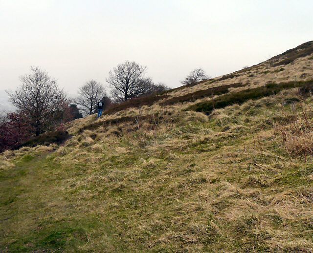 File:Hanging Bank - geograph.org.uk - 1213973.jpg