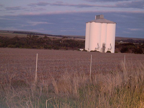 File:Nantawarra silos.jpg