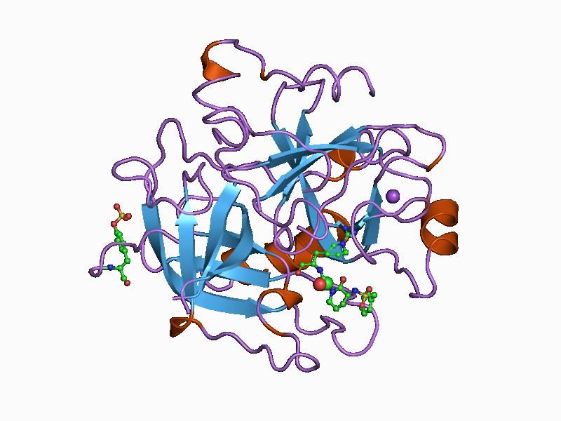 File:PDB 1ca8 EBI.jpg