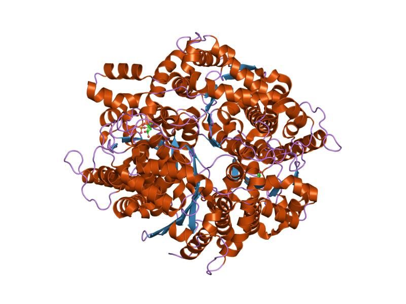 File:PDB 1hox EBI.jpg