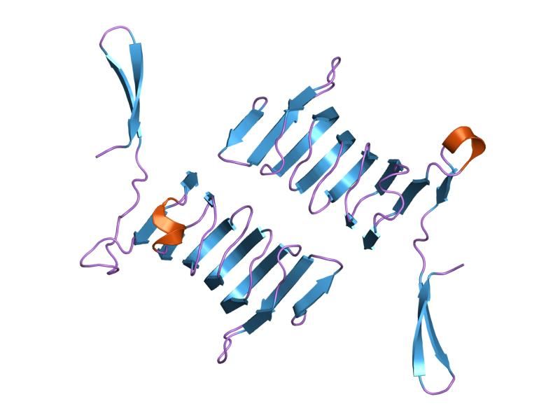 File:PDB 1kq5 EBI.jpg