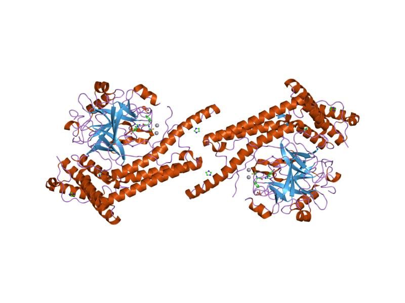 File:PDB 1nu7 EBI.jpg