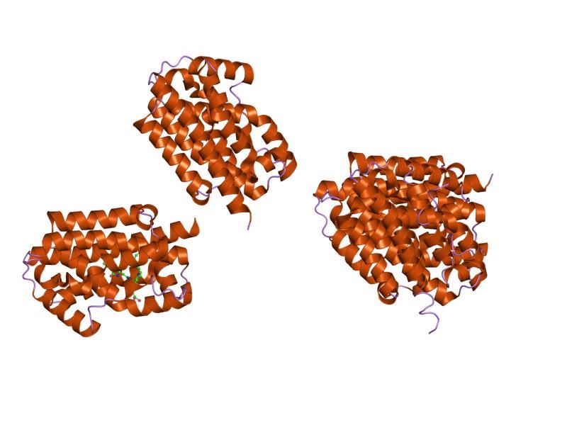 File:PDB 1s8c EBI.jpg