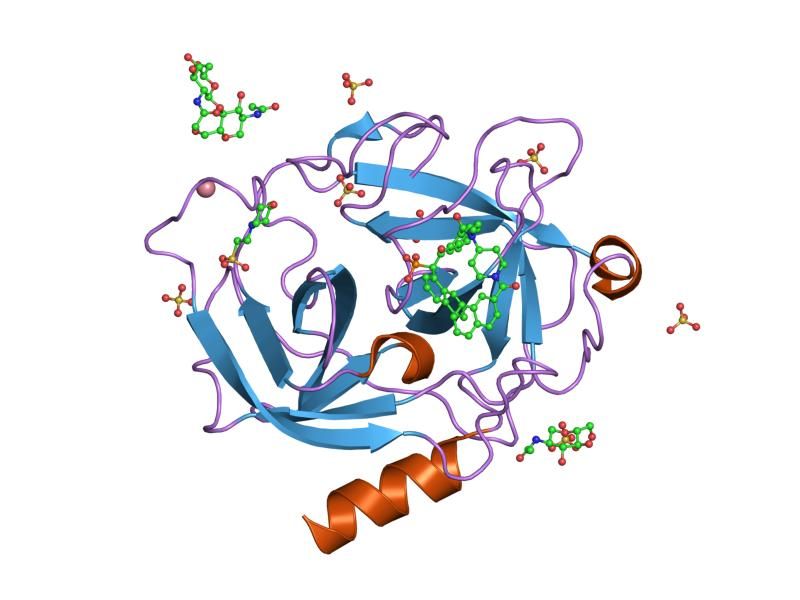 File:PDB 1t31 EBI.jpg