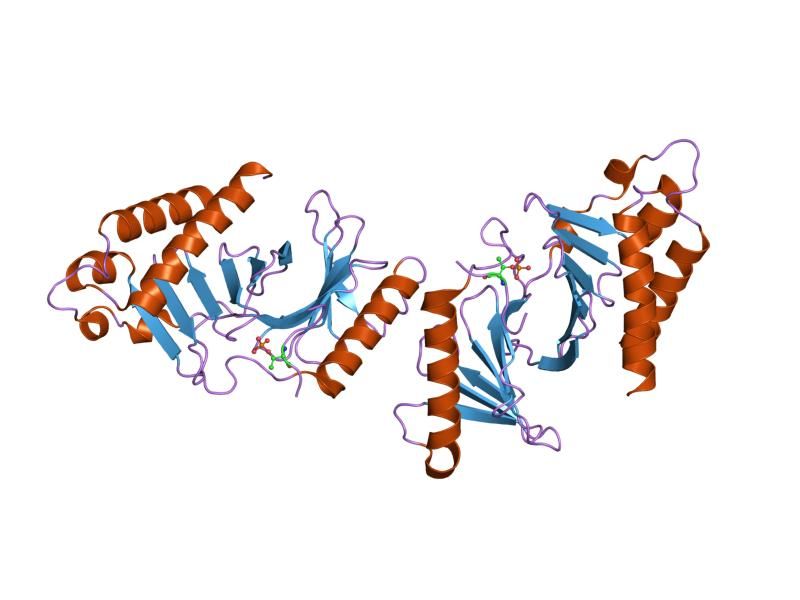 File:PDB 1umw EBI.jpg