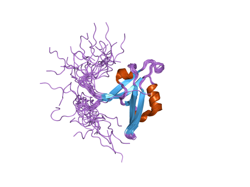 File:PDB 2d8i EBI.png