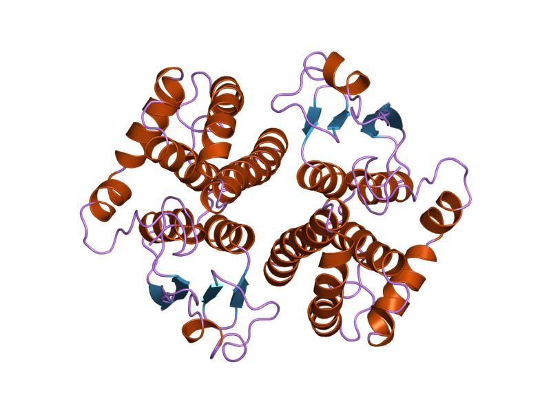 File:PDB 2gtu EBI.jpg