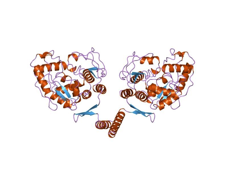 File:PDB 2pah EBI.jpg