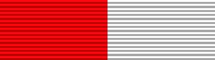 File:Policemedal.JPG