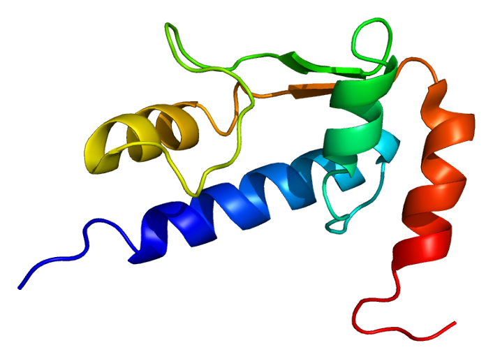 File:Protein GTF2I PDB 1q60.png