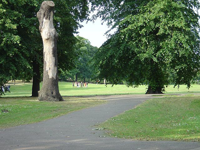 File:Vernon Park - geograph.org.uk - 860222.jpg