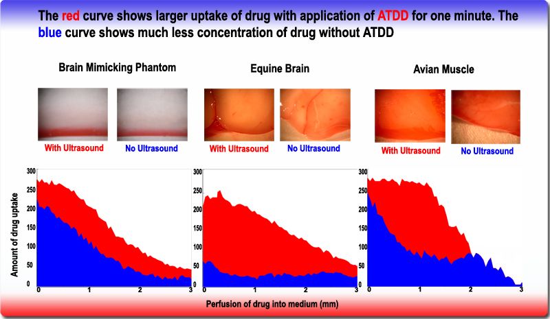 File:ATDD Topical Application.jpg