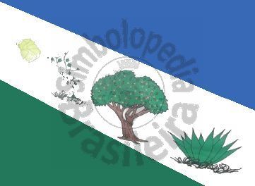 File:Bandeira Juazeirinho.jpg