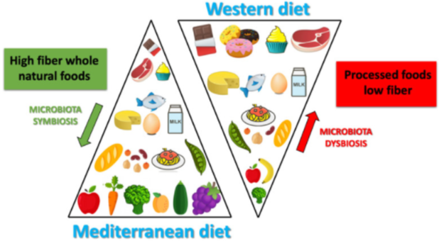 File:Differences between Mediterranean diet and Western diet.png