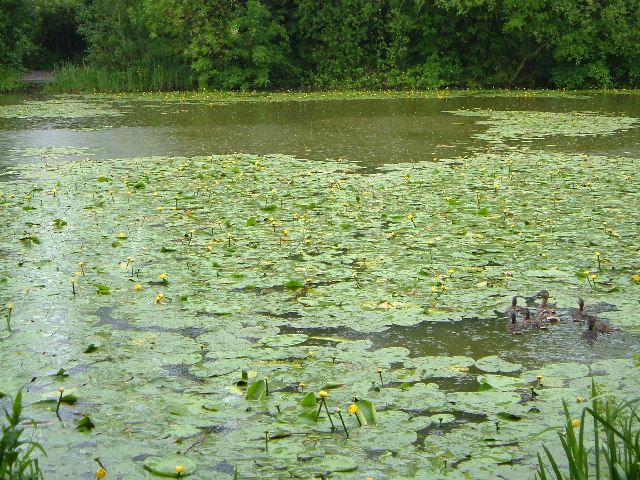 File:Hunstretelake.jpg