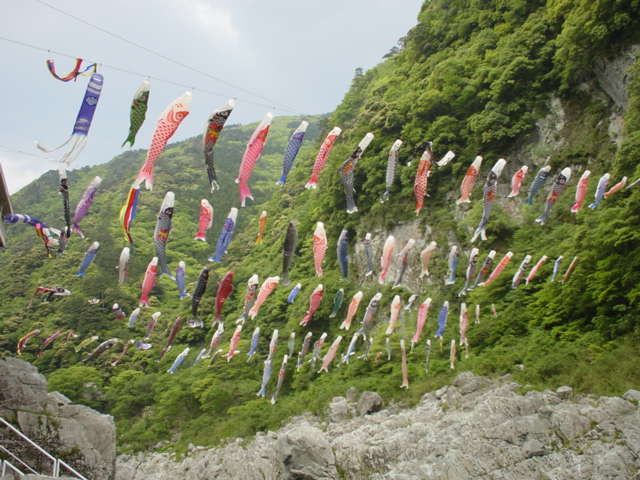 File:Lots of koinobori.jpg