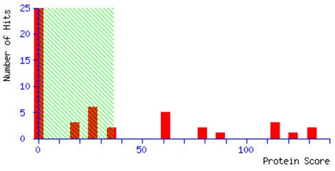 File:Mascot protein score histogram.jpg