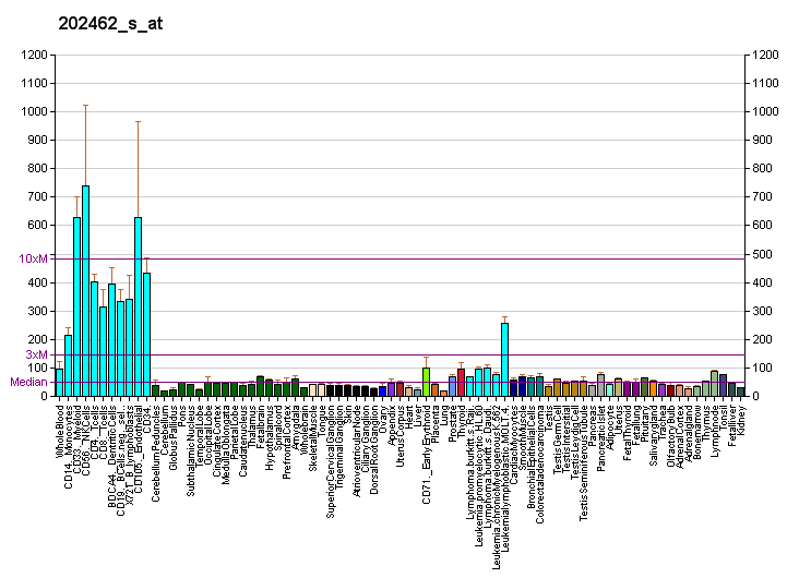 File:PBB GE DDX46 202462 s at fs.png