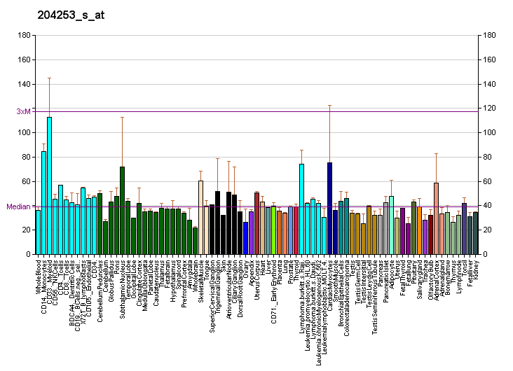 File:PBB GE VDR 204253 s at fs.png