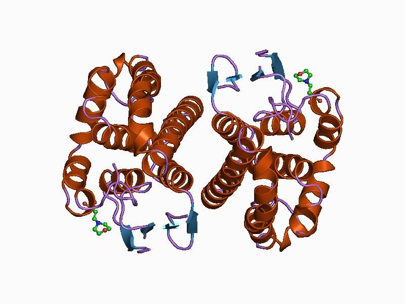 File:PDB 14gs EBI.jpg