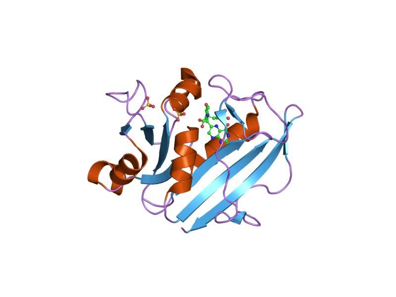 File:PDB 1drf EBI.jpg