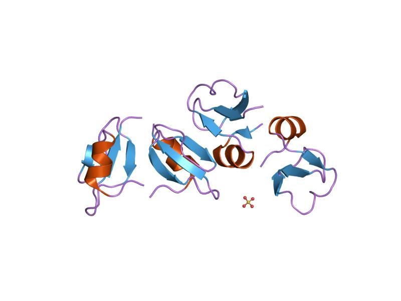 File:PDB 1fd3 EBI.jpg