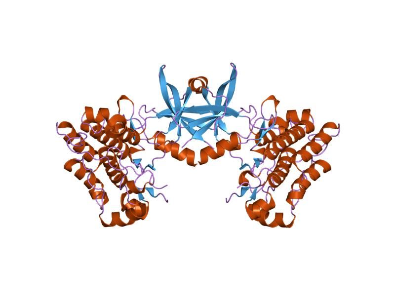 File:PDB 1fvr EBI.jpg