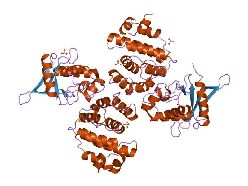 File:PDB 1kps EBI.jpg