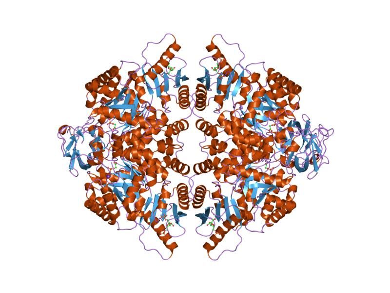 File:PDB 1lix EBI.jpg