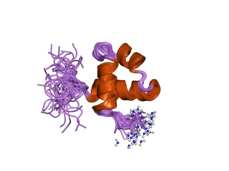 File:PDB 1mbk EBI.jpg