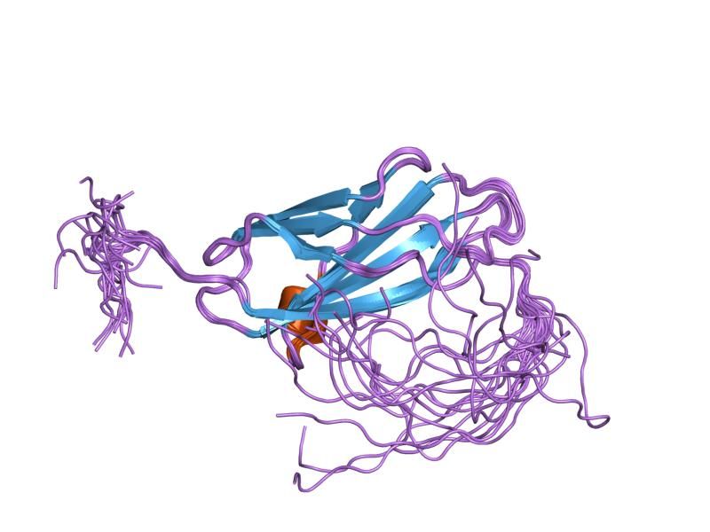 File:PDB 1wfn EBI.jpg