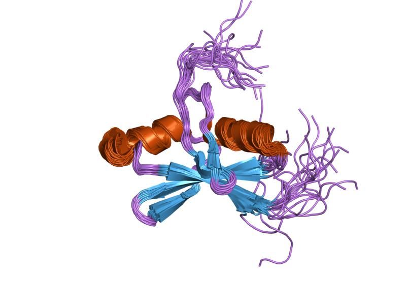 File:PDB 2cs4 EBI.jpg