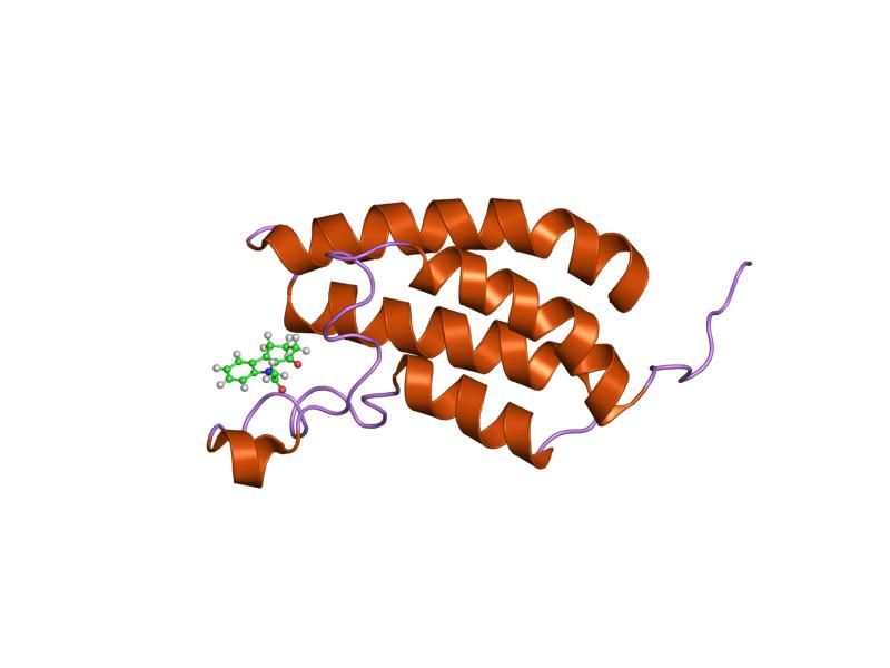 File:PDB 2d82 EBI.jpg