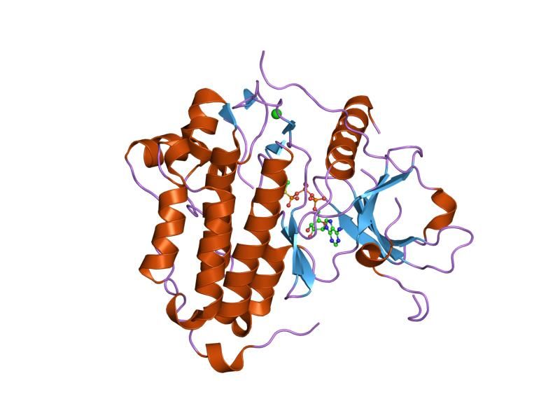 File:PDB 2gs6 EBI.jpg